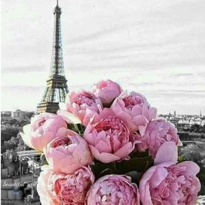 Meet your Posher, Beth